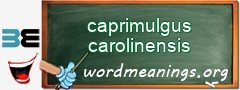 WordMeaning blackboard for caprimulgus carolinensis